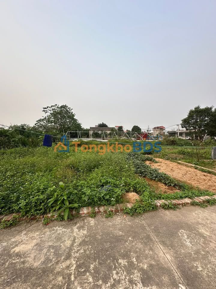 Đất nền Quang Minh Mê Linh 50m² thỏa thuận - Đường to ô tô