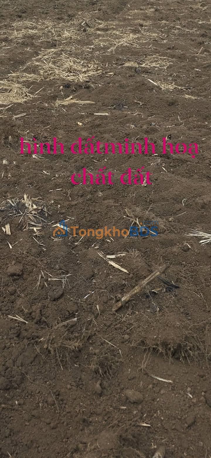 Đất nền Gia Lai H Bông 2520m² 290 triệu - Sổ đỏ chính chủ