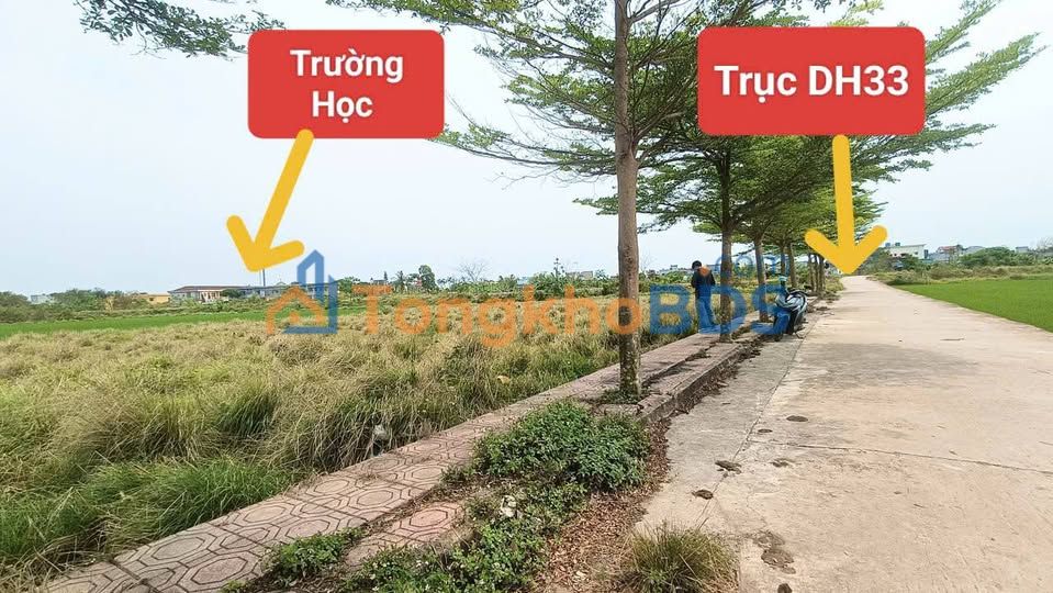 Đất nền Nam Thịnh Tiền Hải 229m² 7xx triệu - Đường to ô tô