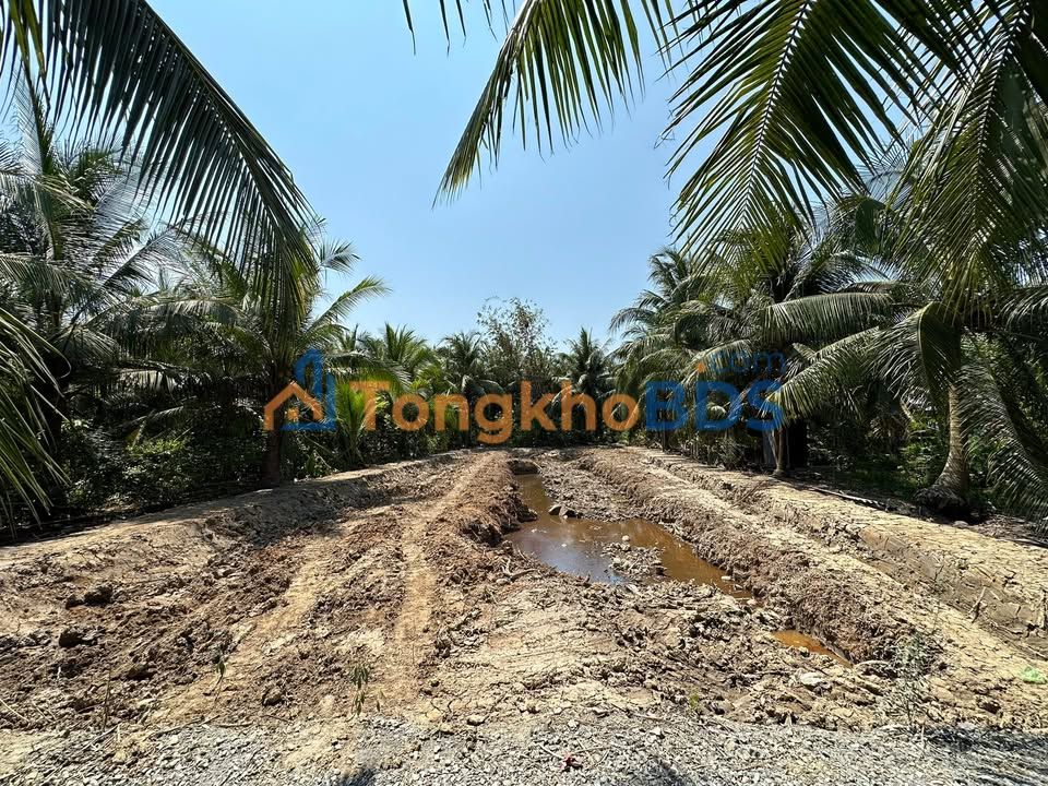 Đất nền Xuân Đông 175m² 450 triệu - Đất thổ cư 100%