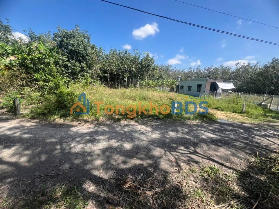 Đất nền Đức Hòa Long An 56m² 350 triệu - Đường ô tô