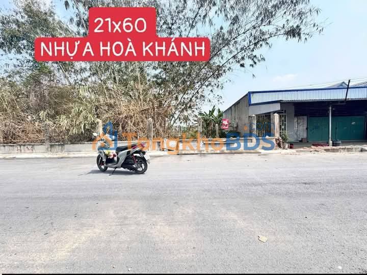 Đất Hòa Minh Liên Chiểu 1.200m² 300 triệu - Sổ đỏ chính chủ