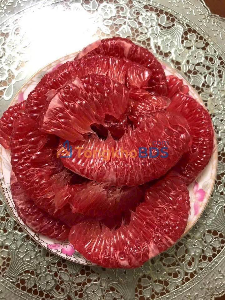 Nhà phố Trường Chinh Hải Dương 91m² 6 tỷ - Mặt tiền kinh doanh