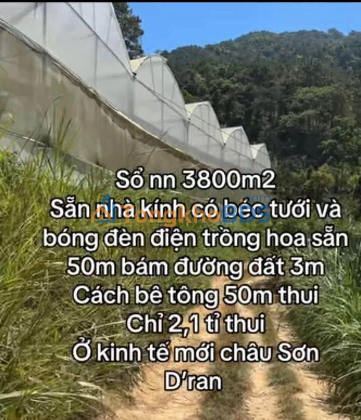 Đất kinh tế mới Châu Sơn 3,8 sào – Sổ đỏ rõ, đầu tư an yên