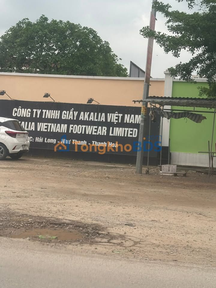 Đất nền Thôn Xuân Hưng QL45 100m² - Đường to ô tô