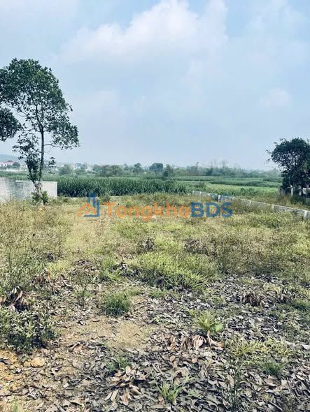 Đất nền Yên Bài Ba Vì 760m² 4 tỷ - Thổ cư ven núi mát