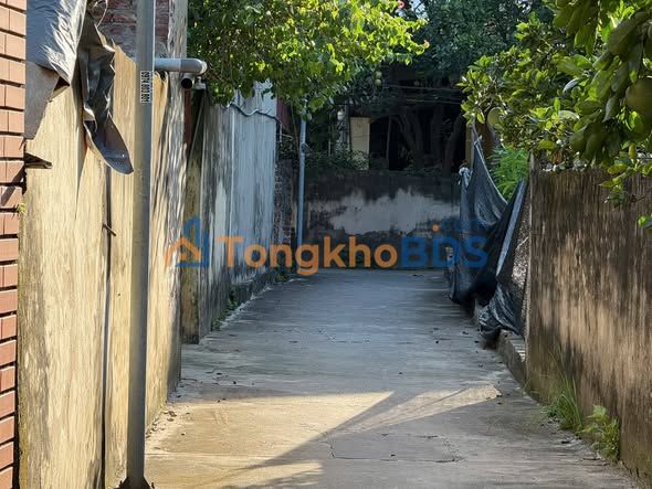 Đất nền Nghiêm Xuyên Thường Tín 45m² 3.1 tỷ - Hạ tầng hoàn thiện