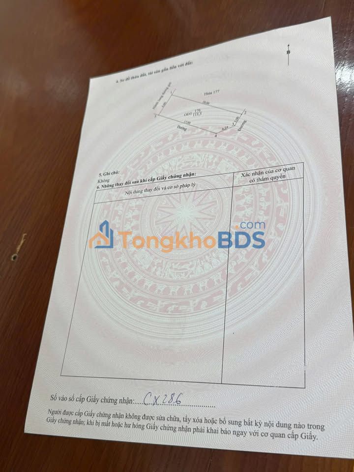 Đất nền Lý Nhân Tông Ninh Bình 115m² - Tiềm năng tăng giá