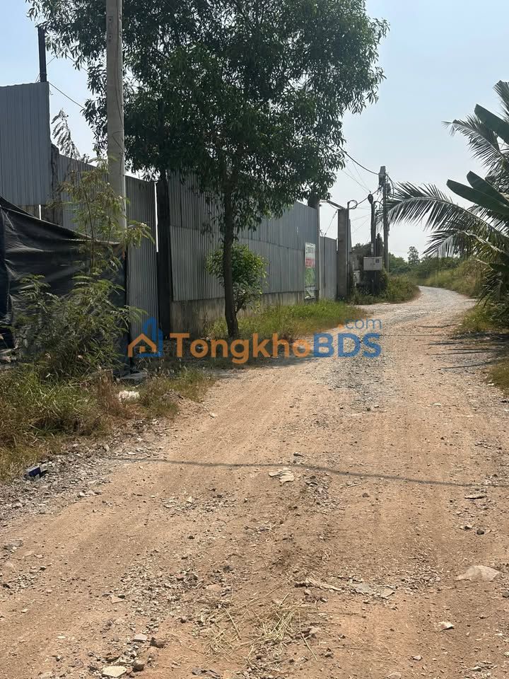 Đất Bà Điểm Hóc Môn 1006m² 4.7 tỷ - Đường to ô tô