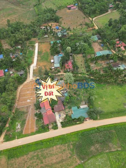 Đất nền Ngọc Lặc 100m² từ 100 triệu - Giá F0 CĐT