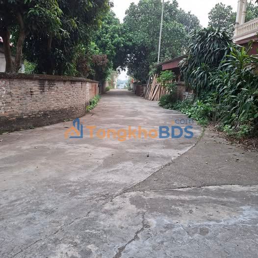 Đất nền Phượng Lâu Việt Trì 240m² 3 tỷ - Đất thổ cư 100%