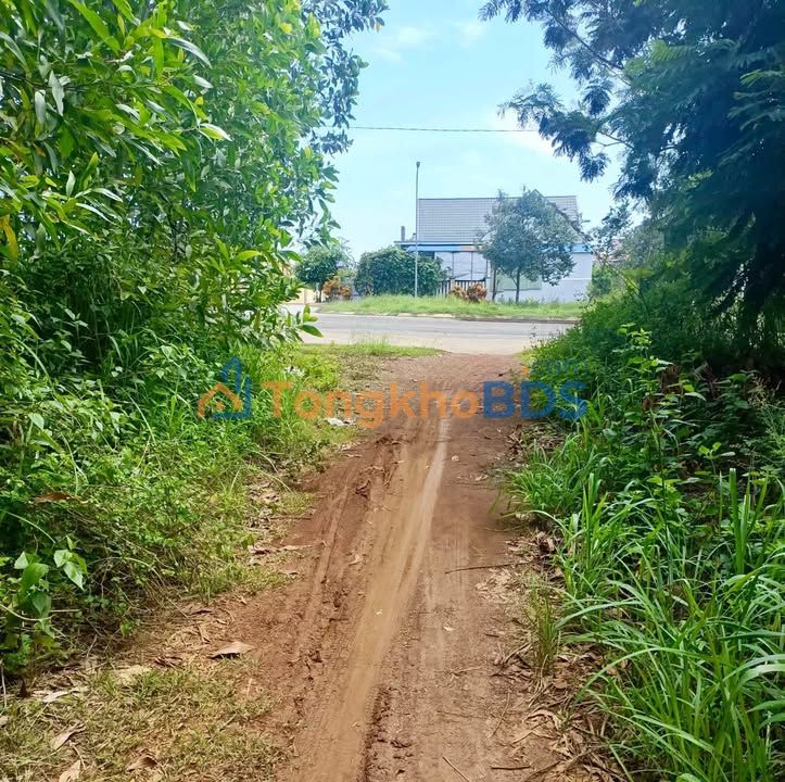 Đất vườn Bình Đông 1140m² 230tr - Sinh thái xanh