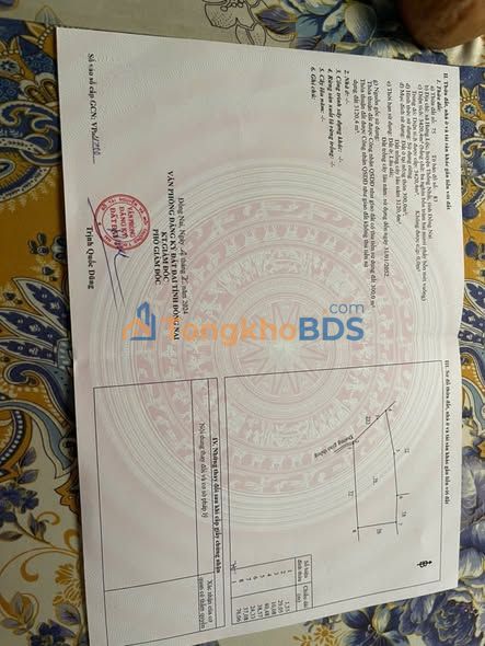 Đất Bắc Tân Uyên 300m² 600 triệu - Xây dựng tự do