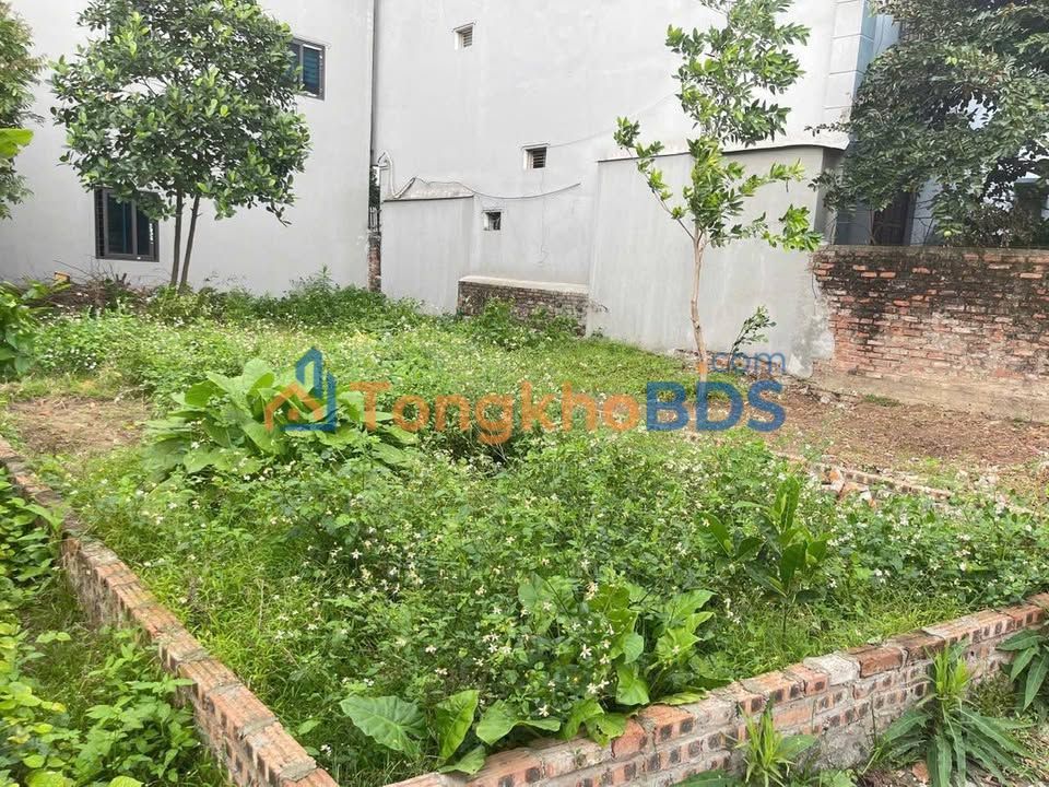 Đất thổ cư Liên Bão Bắc Ninh 110.5m² - Pháp lý rõ ràng