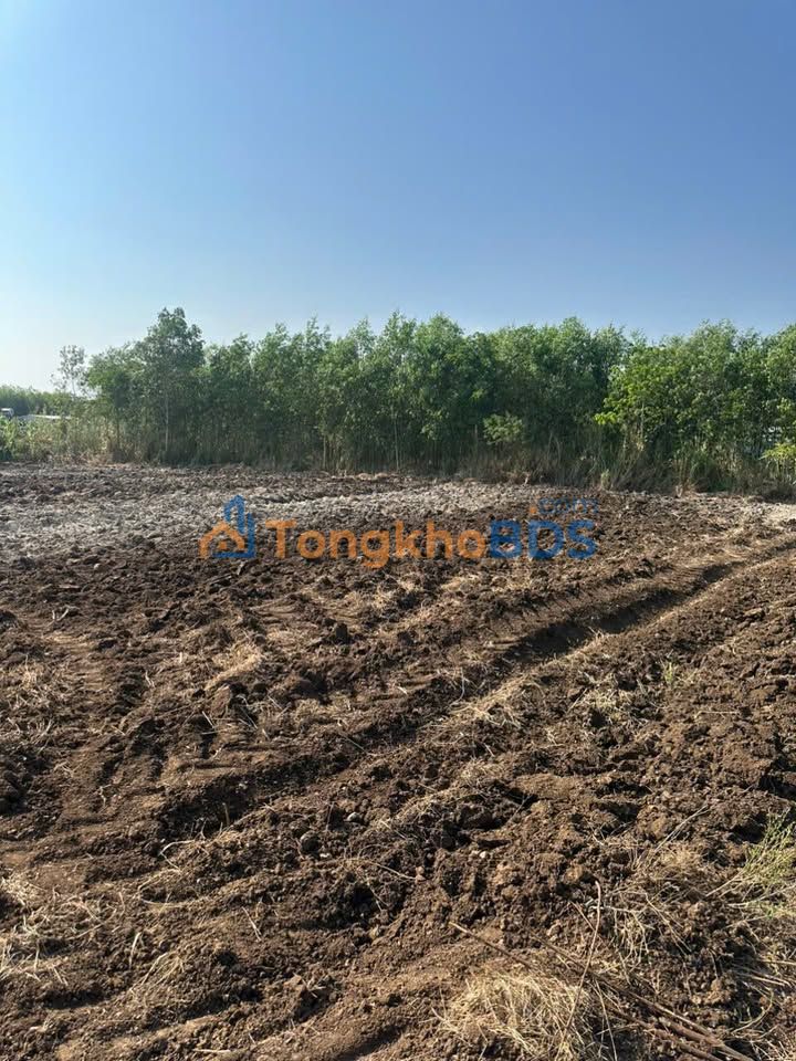 Đất nền Bình Trung Châu Đức 3.447m² giá 3,35 tỷ - Đường to ô tô