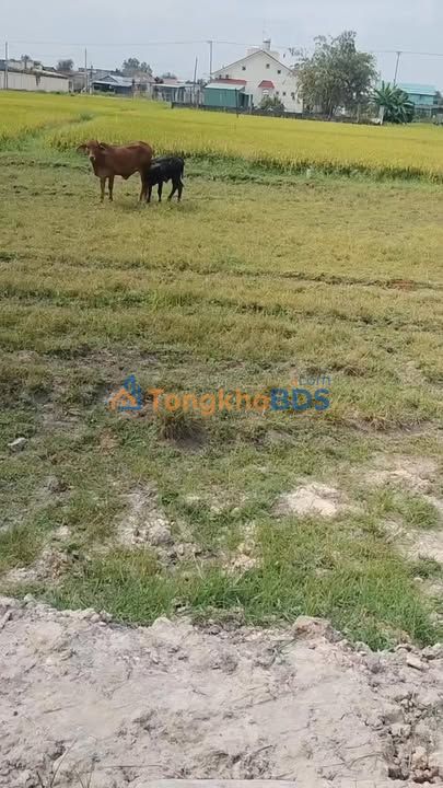 Dat nen Duc Hoa Ha TL9 100m2 860tr duong 5m - Gia F0 CDT