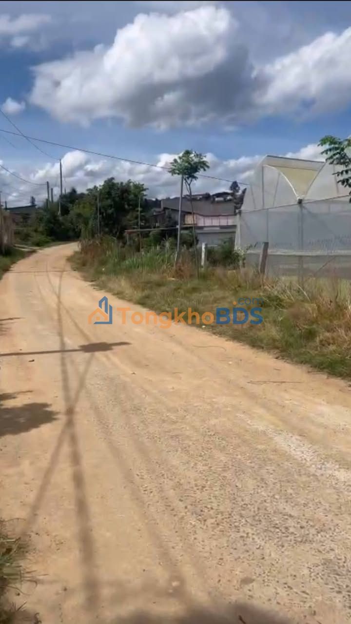 Đất vườn Quảng Lập Đơn Dương 3015m² 4,5 tỷ - Nghỉ dưỡng lý tưởng