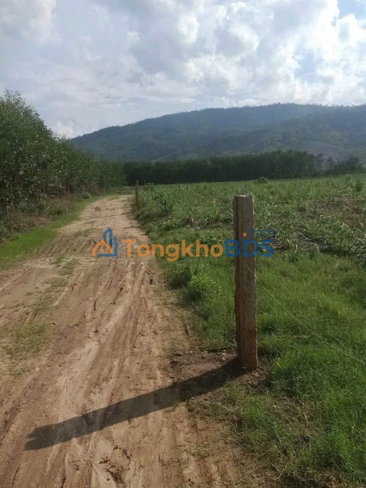 Đất Khánh Hiệp Khánh Vĩnh 620m² 149 triệu - Sổ đỏ chính chủ