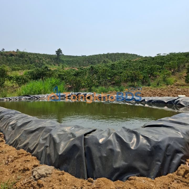 Đất vườn Tân Văn Lâm Hà 2.700m² 2,9 tỷ - Hạ tầng hoàn chỉnh