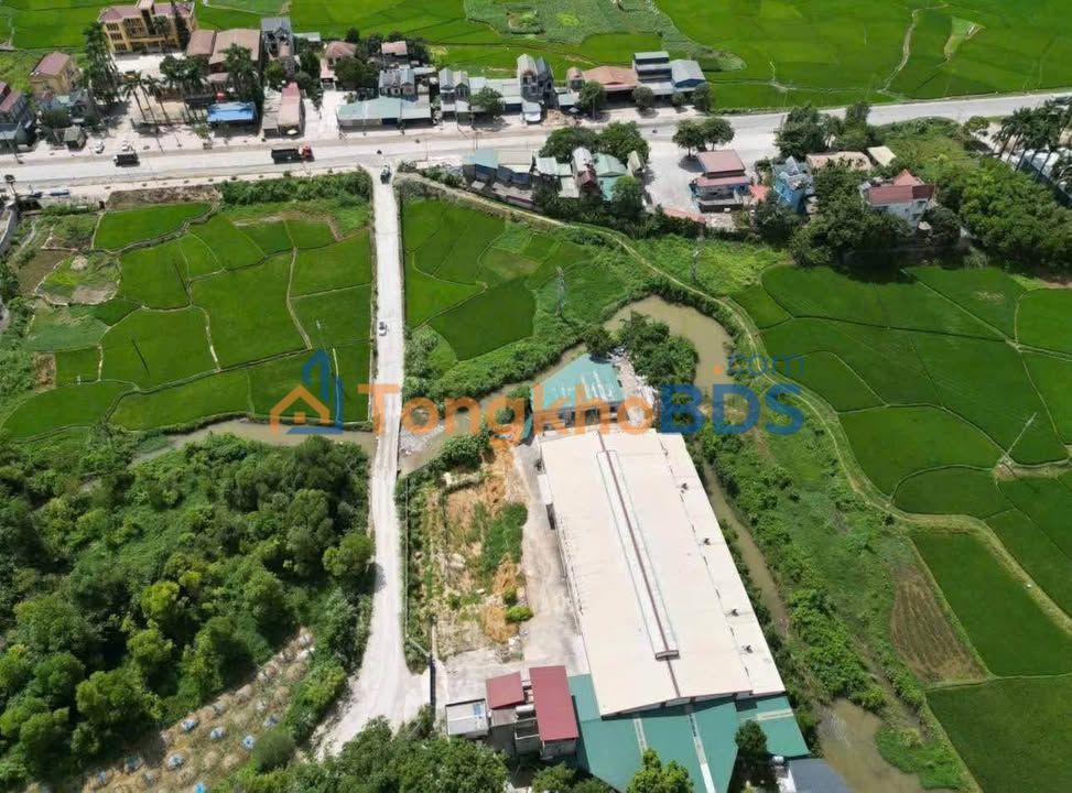 Kho xưởng Liên Sơn Hòa Bình 6.000m² 20 tỷ - Hoạt động ngay