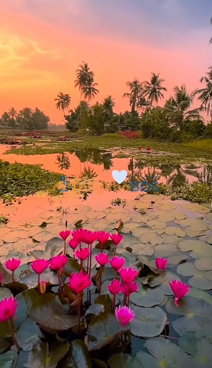 Đất nền Tam Thái Phú Ninh 120m² 4xx triệu - Đường to ô tô