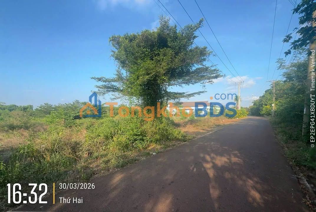 Đất Long Tân 141m² 795 triệu - Đất thổ cư 100%