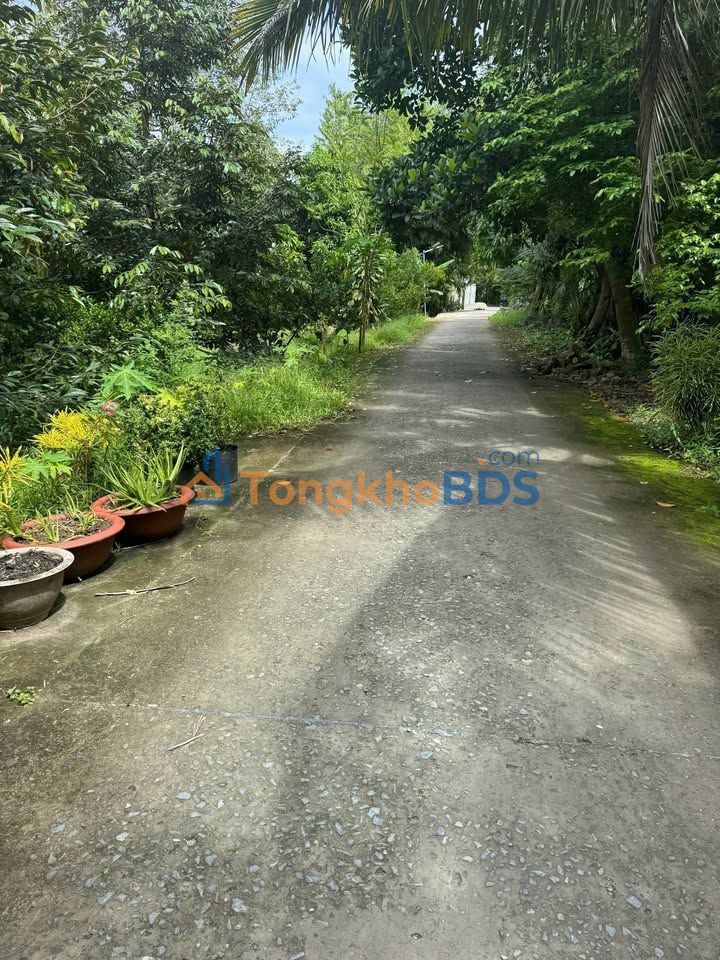 Đất nền Rạch Chuối An Bình 96m² 600-699 triệu - Sổ đỏ