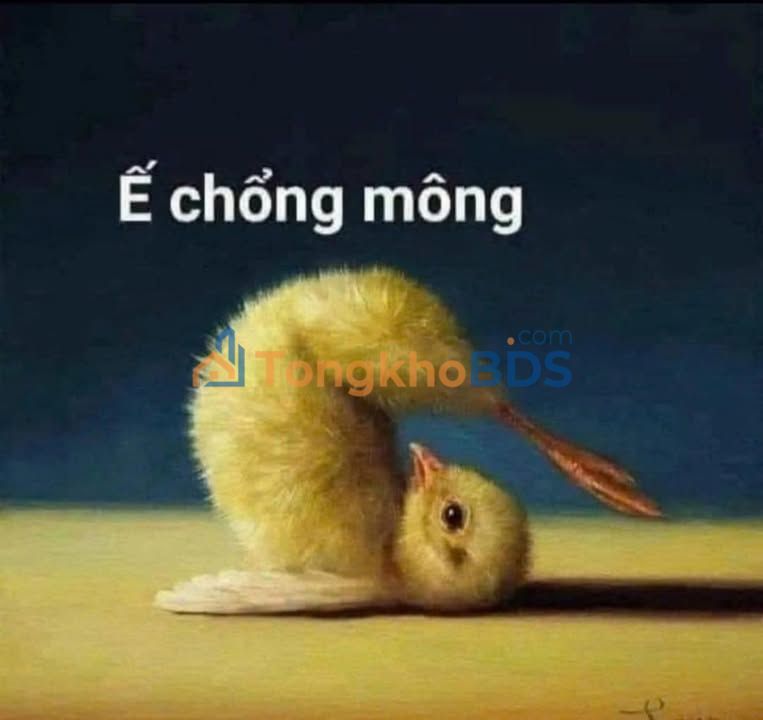 Đất Thuận An An Phú 18 112,8m² 2,6 tỷ - Đất thổ cư 100%