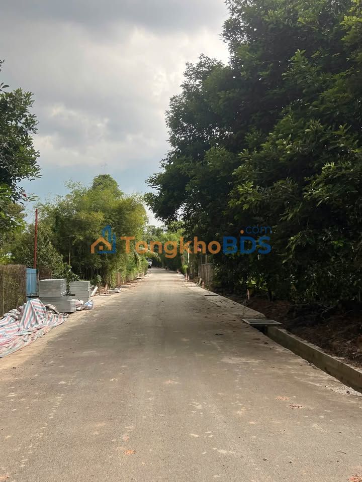 Đất nền An Điền Bến Cát 100m² giá 1.25 tỷ - Đường to ô tô