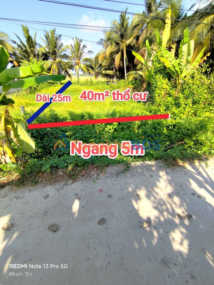 Đất nền Tân Long Hội 125m² 190 triệu - Sổ đỏ chính chủ