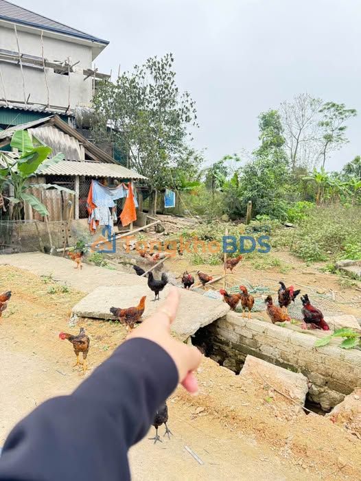 Đất nền Đông Tân Cẩm Xuyên 115m² 2 tỷ - Đường to ô tô