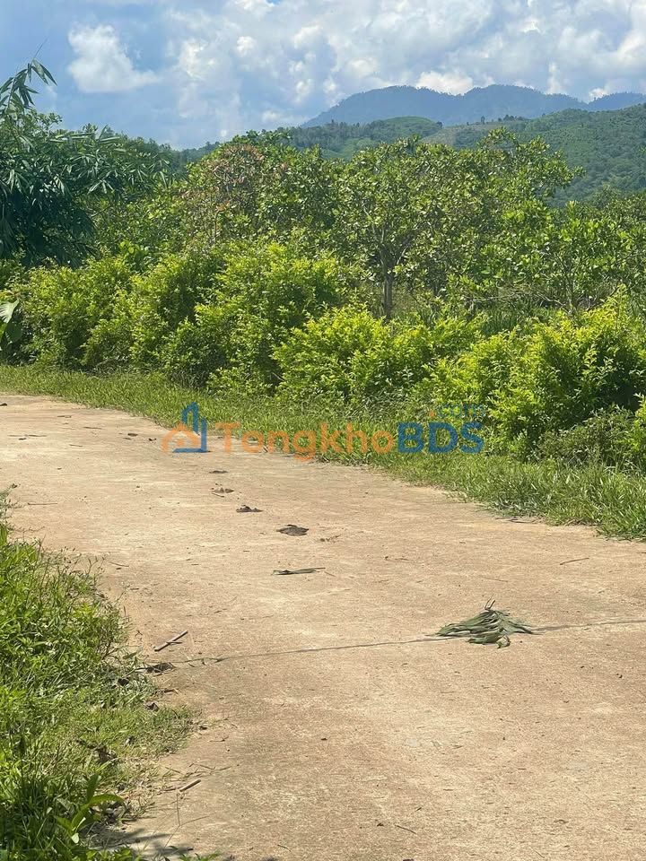 Đất Xã Nha Trang Khánh Vĩnh 1029m² 299tr - Đường to ô tô