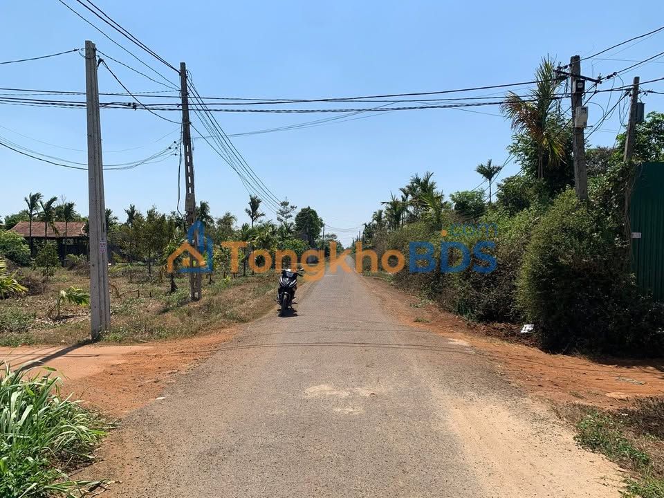 Đất nền Đường D5 Tuy Hòa 130m2 950 triệu - Sổ đỏ chính chủ