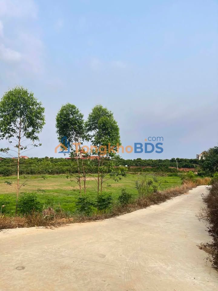 Đất vườn Mỹ An 400m² giá thỏa thuận - Sinh thái xanh