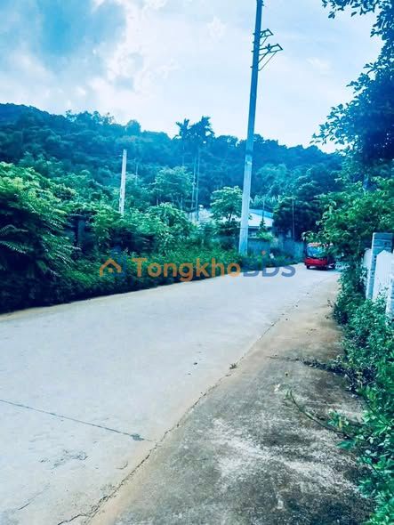 Đất nghỉ dưỡng Yên Bài Ba Vì 1.100m² 1.1 tỷ - Giá tốt hiếm có