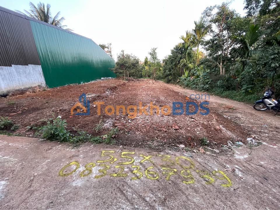 Đất hẻm C1 Nguyễn Xuân Nguyên 165m² 1,85 tỷ - Tiềm năng tăng giá