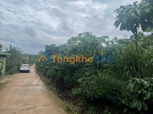 Đất nền Nam Ban Lâm Hà 2200m² 4.4 tỷ - Sổ đỏ chính chủ