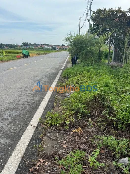 Đất nền Sơn Vi Lâm Thao 100m² 2 tỷ - Hạ tầng hoàn thiện