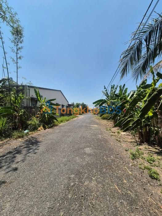 Đất nền Ninh Thọ Tây Ninh 174m2 33.93 tỷ - Đất thổ cư 100%