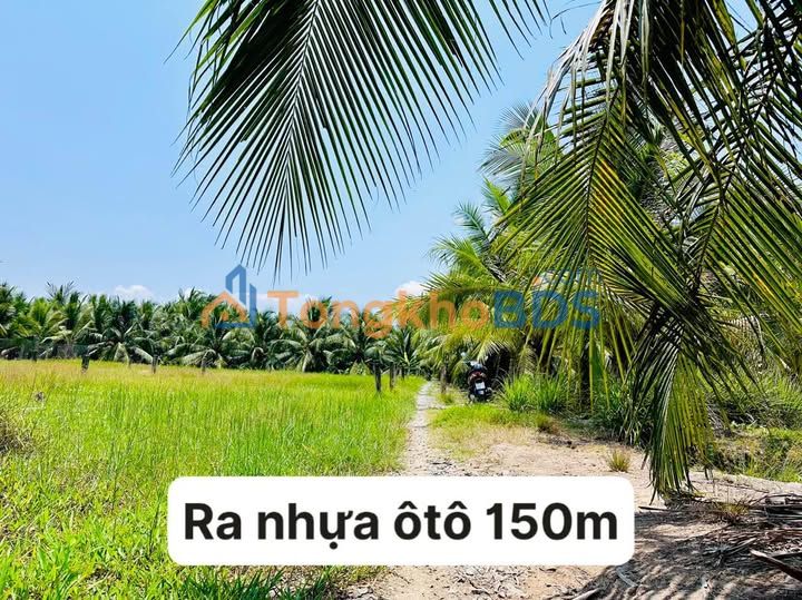 Đất nền An Phú Thuận 150m² 185 triệu - Sổ đỏ chính chủ