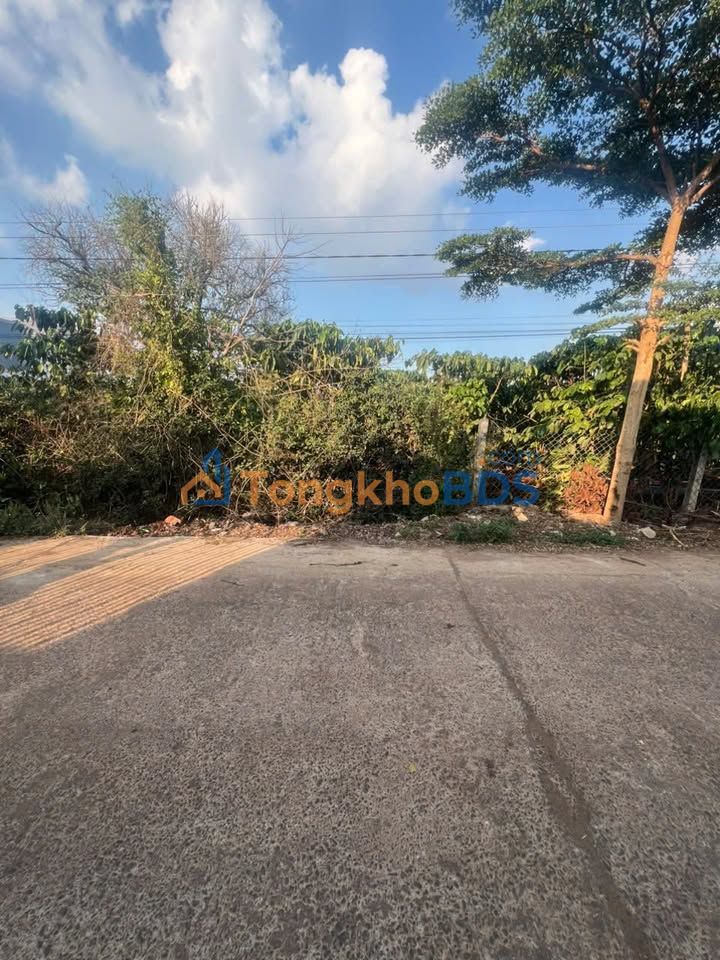 Đất nền Đức Trọng 500m² 900 triệu - Ô tô vào đất