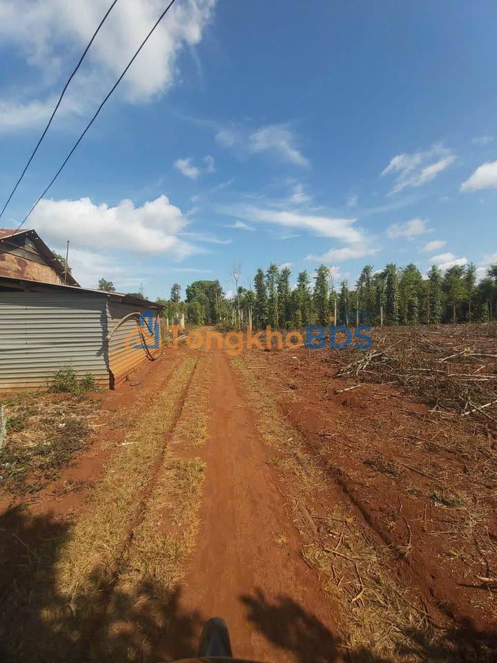 Đất thổ cư Thôn 3 Cư Suê 125m² 350 triệu - Sổ đỏ chính chủ