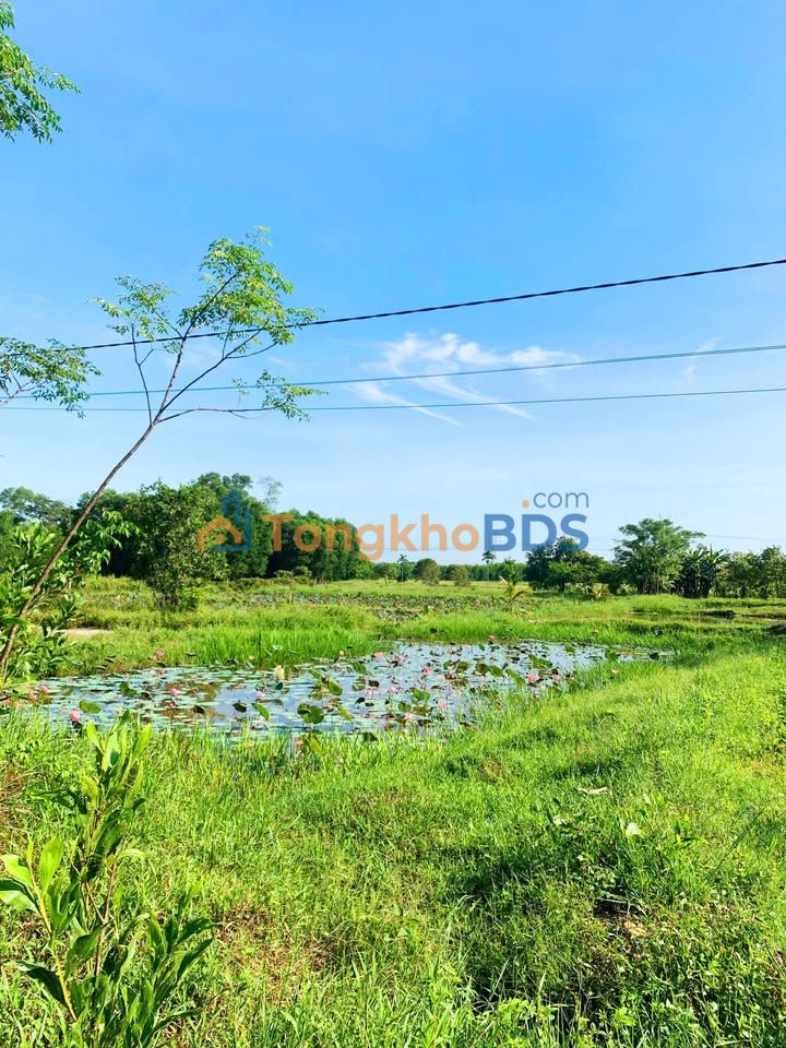 Đất nền Phong Xuân 155m² 260 triệu - Đầu tư dài hạn