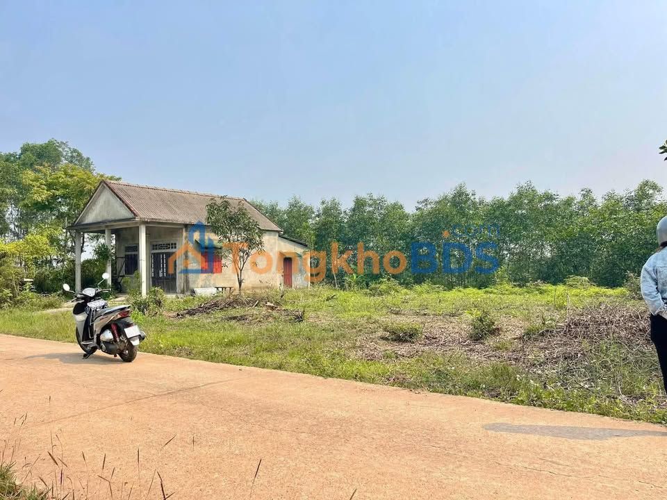 Đất nền Phong Thu 278m² giá 700-799 triệu - Hạ tầng hoàn thiện