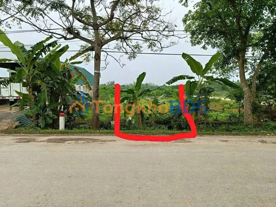 Đất Sài Thôn Nông Cống 125m² 1.1 tỷ - Sổ đỏ chính chủ
