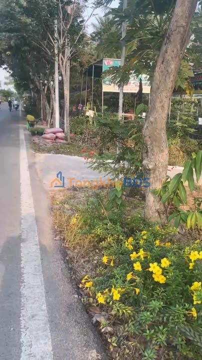 Đất nền QL54 Ấp 5 Cầu Kè Bến Cát 150m² 850tr - Sổ đỏ