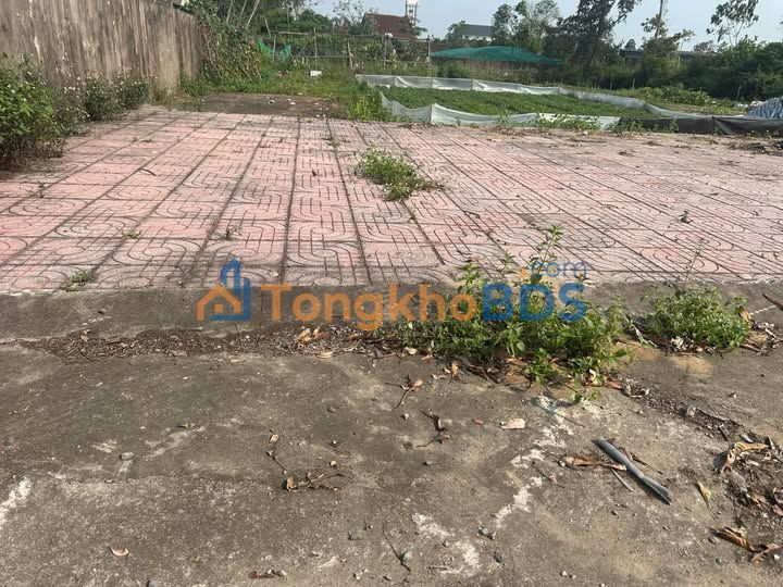 Đất nền Bùi Thế Đạt Vinh 110m² 2.2 tỷ - Sổ đỏ chính chủ