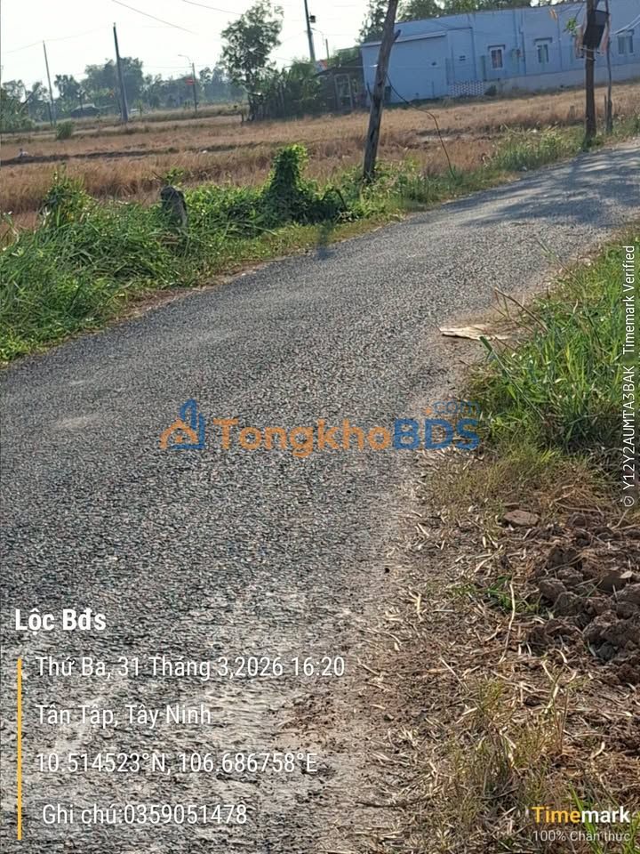 Đất Tân Tập Cần Giuộc 2750m² 6,875 tỷ - Xây dựng tự do