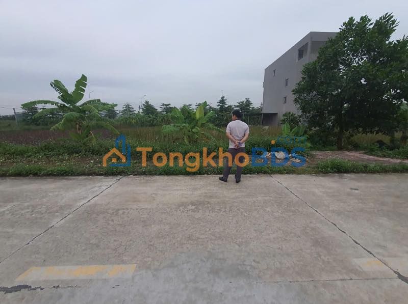 Đất nền Gia Viễn 100m² 1.6 tỷ - Đường to ô tô