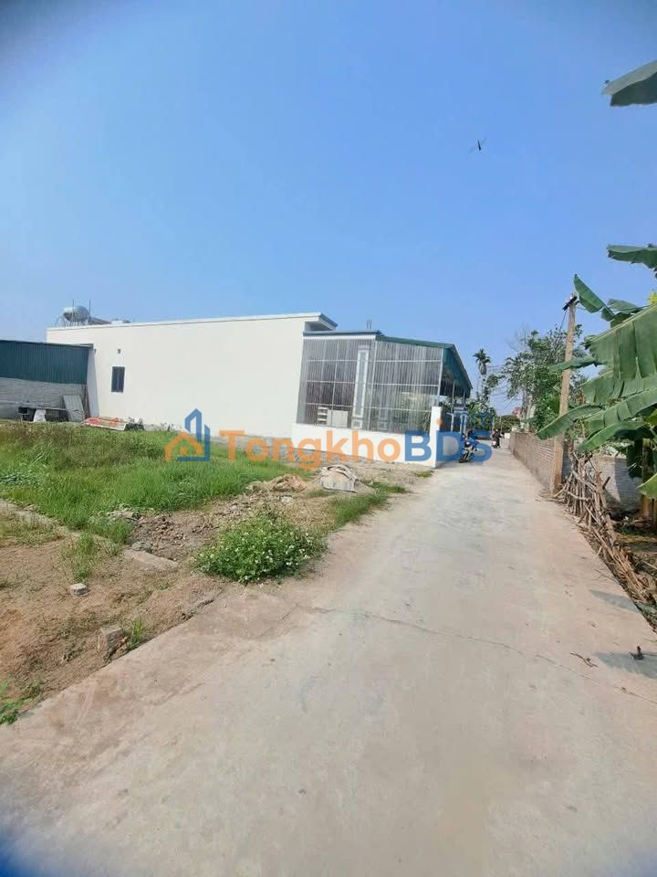 Đất nền Văn Tố Tứ Kỳ 100m² 500-599 triệu - Giá tốt hiếm có